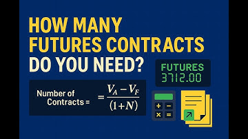Hedging an Equity Portfolio with Stock Index Futures