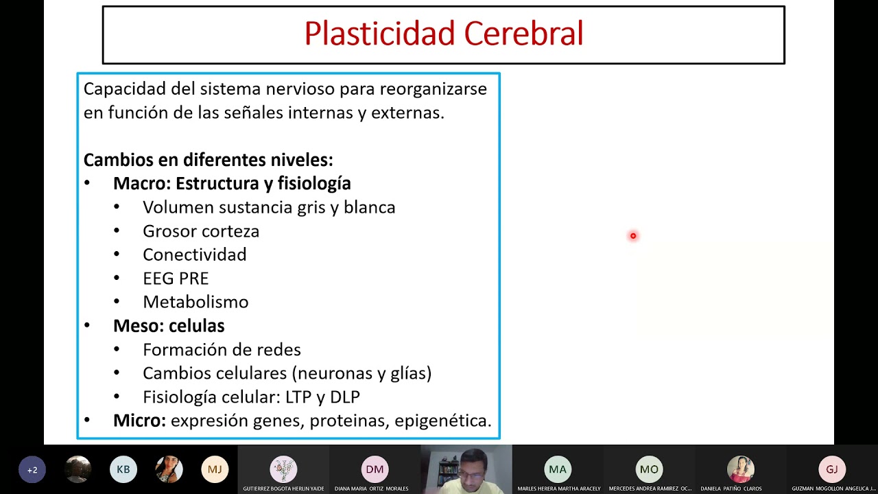 Fundamentos de la Plasticidad Cerebral