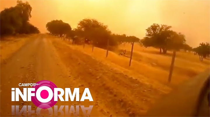 Reportaje: ¿Estamos preparados para una nueva emergencia?