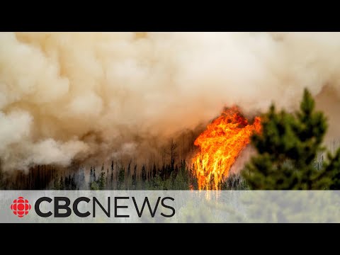 B. C. Firefighter killed while responding to wildfire hear revelstoke