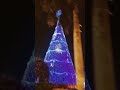 Árbol Gallo 2026 para noviembre XD
