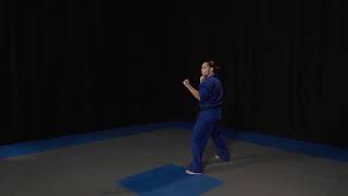Kick Punch Jump Spin Front Kick - Side View