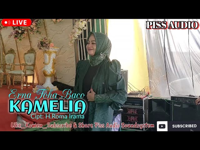 KAMELIA | CIPT. H.ROMA IRAMA |COVER| ERNA TOHA BACO - PISS AUDIO class=