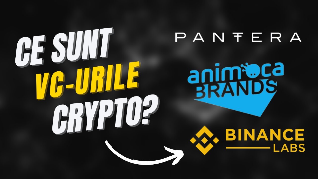 Ce este Venture Capital (VC)? | VC-uri de top, portofolii exemplificate