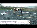 Christmas Tree Pole Exercises - Positive Gymnastic Groundwork and Riding