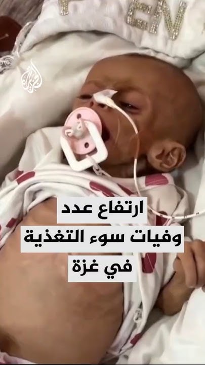    :       459 
 - نشر قبل 2 ساعة
