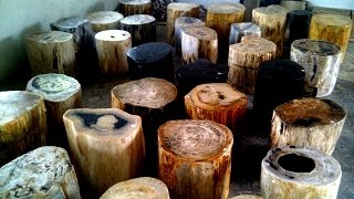 Petrified Wood Prices