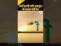 Mandi Bhav: हरियाणा, महाराष्ट्र और ओडिशा की मंडियों में सेब और पपीते का ताजा भाव #haryana
