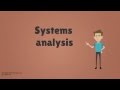 Who is a Systems Analyst?