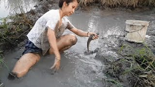 WOW Sexy Girl Fishing at battambang Province in cambodia Traditional Fishing(part71)