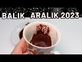 BALIK BURCU ARALIK 2023 KAHVE FALI (Aylık Burç Yorumları)