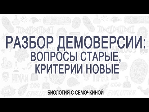 Видео: Газов анализатор е Газов анализатор: видове, ревюта, цени