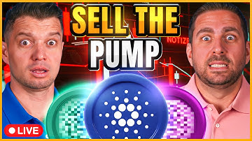 Crypto Selloff: Sell the Pumps of These Altcoins