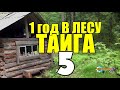 ГОД В ГЛУХОЙ ТАЙГЕ | ВСТРЕЧА С МЕДВЕДЕМ | КЕДРОВЫЕ ОРЕХИ НА ЗИМУ | ЗОЛОТО | ВЫЖИТЬ В ЛЕСУ 5 из 10