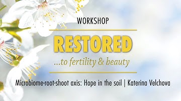 Microbiome-root-shoot axis: Hope in the soil | Katerina Velchova