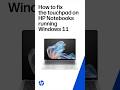 How to fix the touchpad on HP Notebooks running Windows 11 | HP Computers #shorts