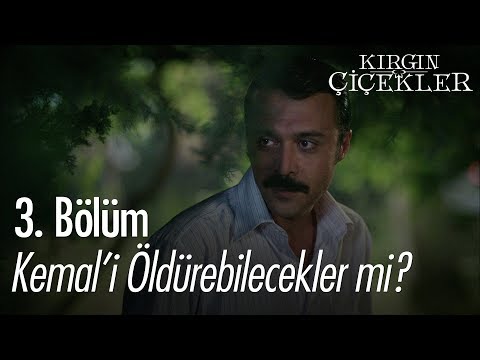 Kemal'i öldürebilecekler mi? - Kırgın Çiçekler 3. Bölüm