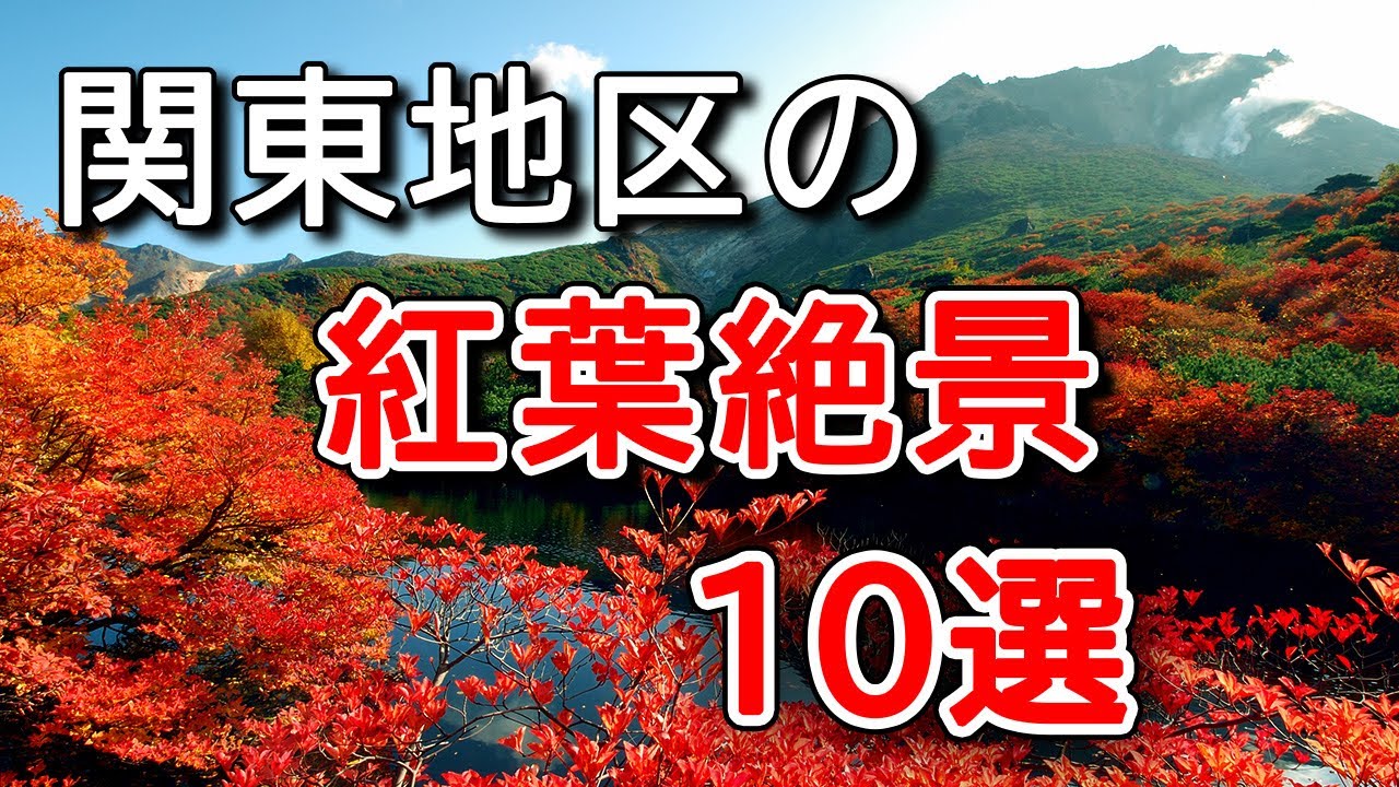 【4K 関東の紅葉🍁ベスト10選】絶景名所ランキングを紹介します