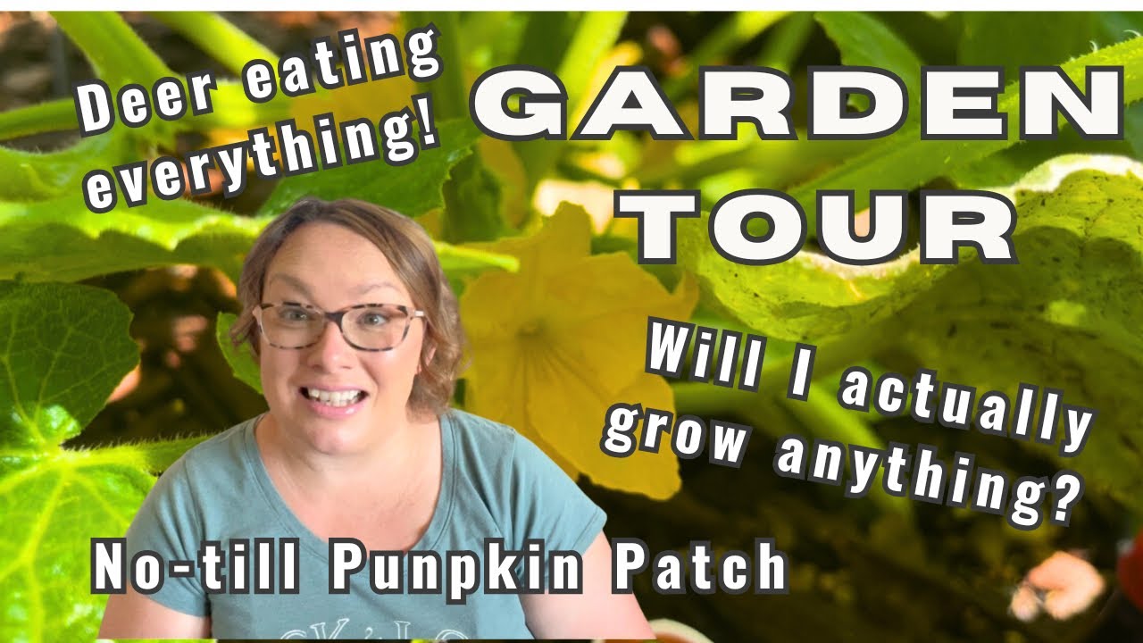Garden Tour From a Terrible Gardener
