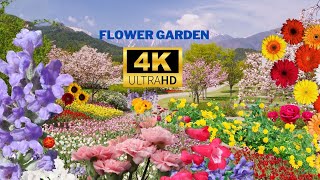 CELESTIAL FLOWERS GARDEN | Best Collection | A Stunning & Inspiring 4K Video