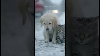 Phillies land All-Star closer Jhoan Duran ahead of MLB trade deadline 👀🔥  #JhoanDuran