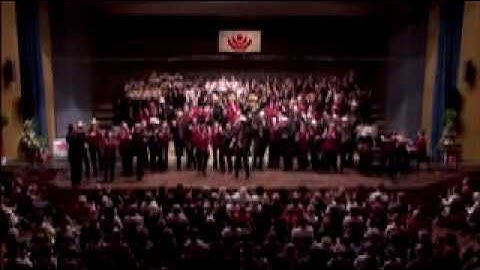 Bile them cabbage down