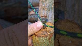 Smart Knot