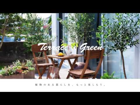◎MG秋CM