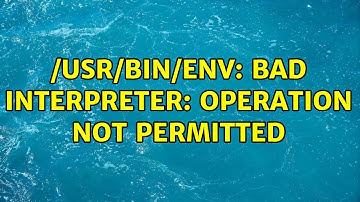 /usr/bin/env: bad interpreter: Operation not permitted (2 Solutions!!)