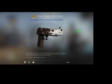 Csgo da en çok kullanılan 10 silaha 50 tl ye desenler aldık