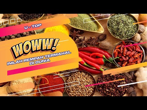 REMPAH TERMAHAL DI DUNIA | U-TOP