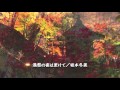 港祭の夜は更けて/坂本冬美/Relaxing Music