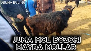 MAYDA MOLLAR JUMA MOL BOZORI