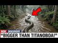 Scientists Just Found a Larger Snake Than Titanoboa — And It's WAY More Terrifying