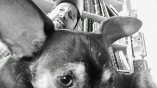 Q&A With Stephin Merritt (Magnetic Fields)