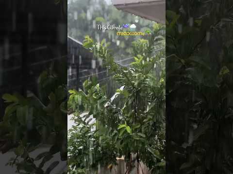 എനിക്കായ് 🌧️❤️☔️