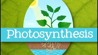 Photosynthesis for Kids - Introduction to Photosynthesis for Children: FreeSchool by Free School 96,390 views 1 year ago 4 minutes, 50 seconds