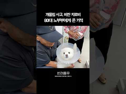 처음 본 노부부 <strong>병원비</strong> 150만원 준 사람의 정체