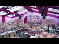 amfAR Palm Beach Gala 2026 Highlights