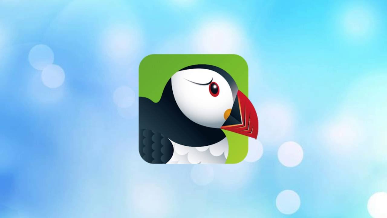 puffin browser for pc old version