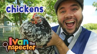 Ivan Inspects Chickens | Fun and Educational Videos for Kids and Toddlers