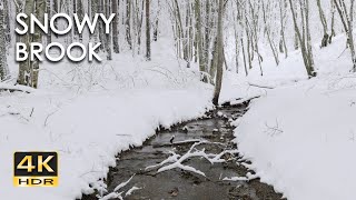 4K HDR Snowy Brook - Relaxing River Sounds - Peaceful Snow & Forest Stream - Flowing Water Sleep Aid