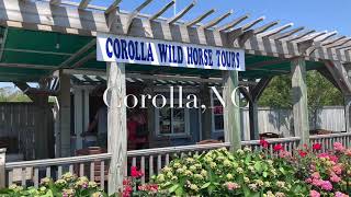 Corolla Wild Horse Tour Corolla Wild Horse Tour