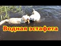 Водная эстафета