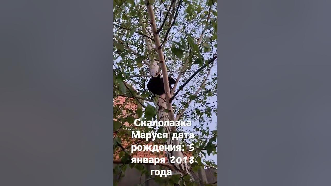 скалолазка 😎 - YouTube
