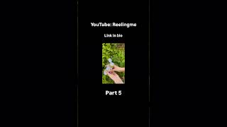 Daily Vlogs & Content Creation Journey | Influencer Life, BTS, Reels, Brand Shoots & Lifestyle Vlogs