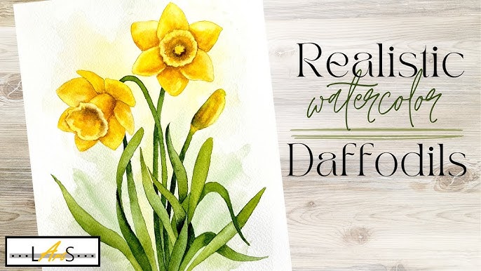 How to paint a daffodil ( or yellows are very tricky) – watercolours by  rachel