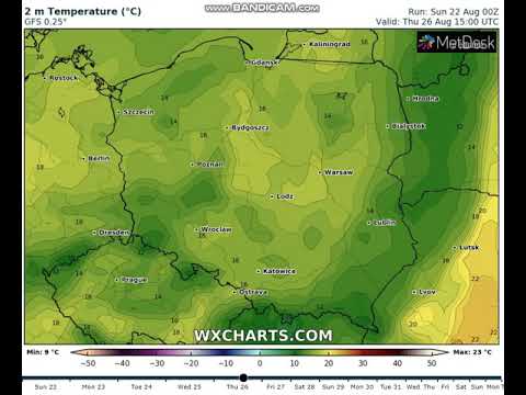 Wideo: Rospotrebnadzor Wyjaśnił Przyczynę Fałszywie Dodatnich Wyników Testów W Niżnym Nowogrodzie