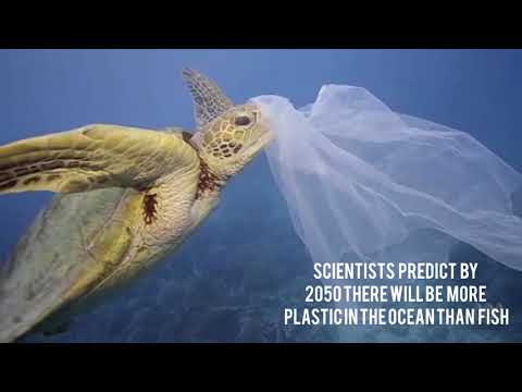 Video: Hvornår er Earth Day 2019