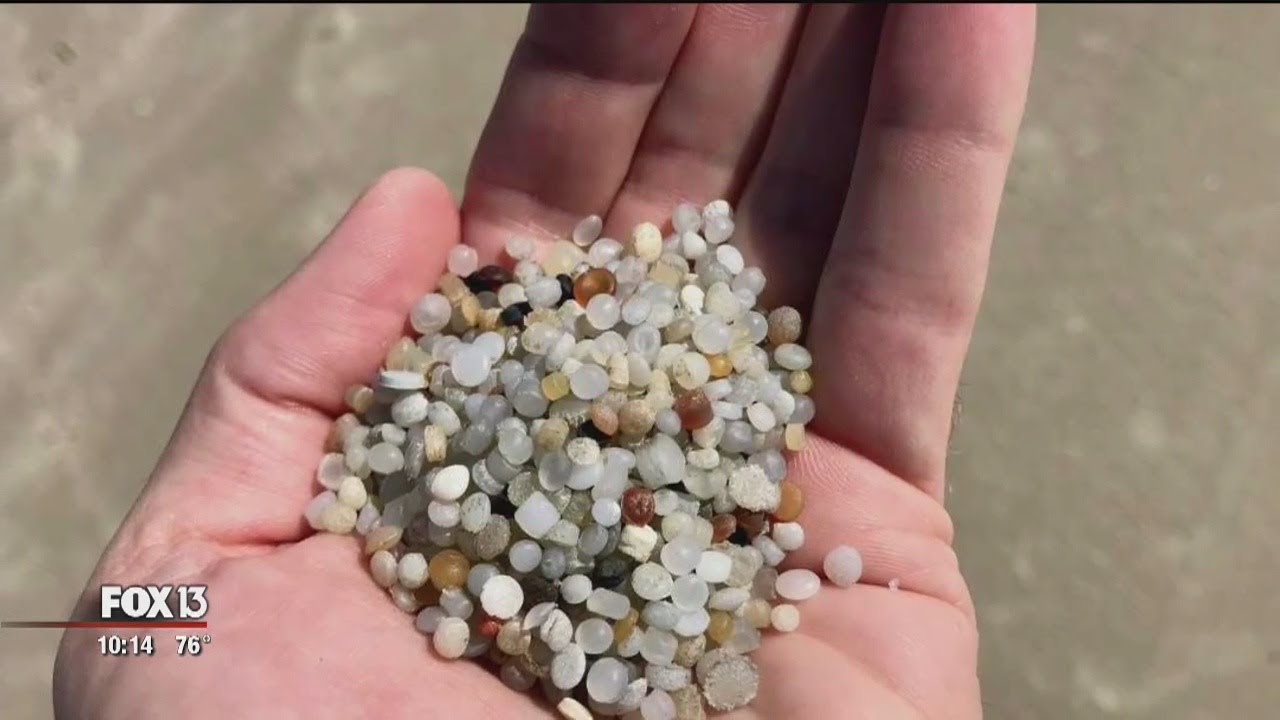 'Nurdle Patrol' is on the hunt for plastic pellets YouTube